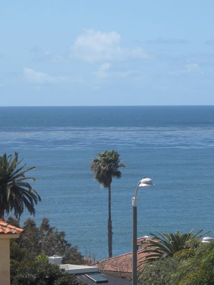 view from living rm