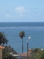 view from living rm