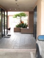 back entry